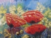 Маки